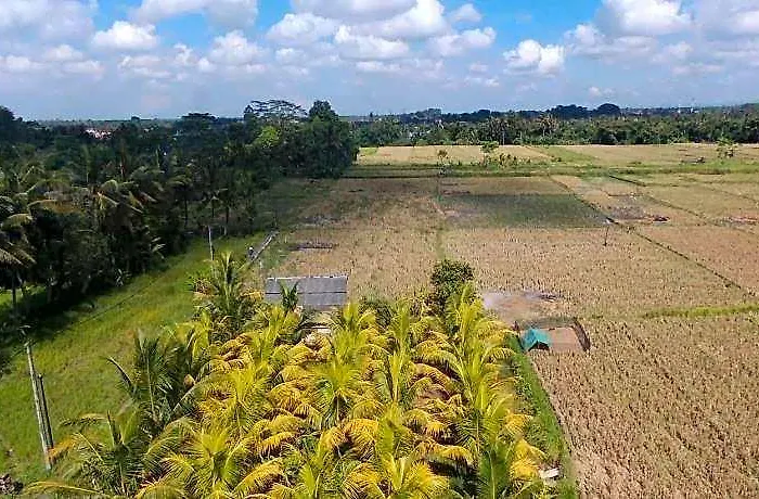 Suara Sidhi Bali ウブド