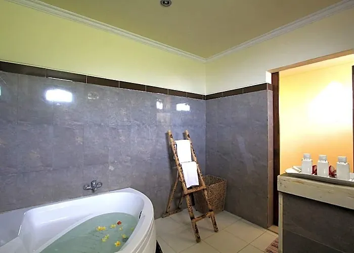 ホテル Suara Sidhi Bali 3*
